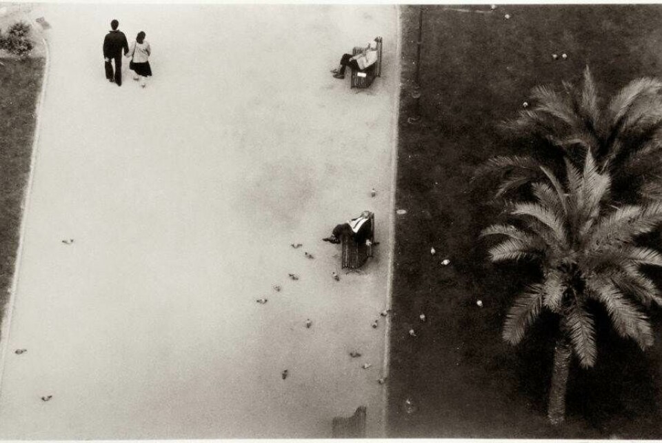 25 ting og begivenheder du skal glæde dig til i 2018