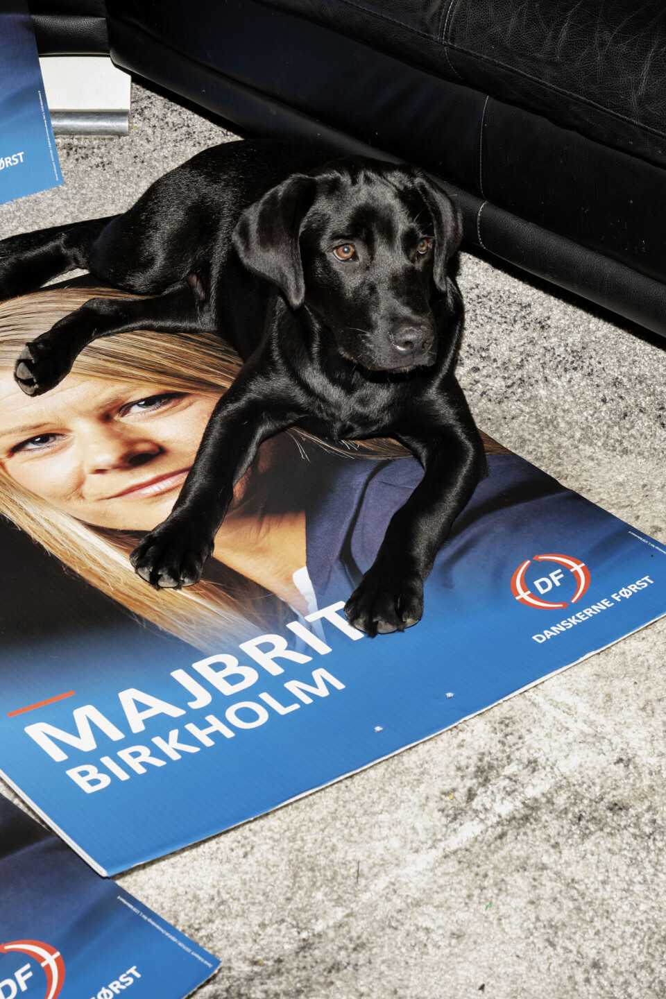 Her er det nye Dansk Folkeparti: ”Jeg synes ikke, man skal vælges ind på Christiansborg, bare fordi man bruger det grimmeste sprog”