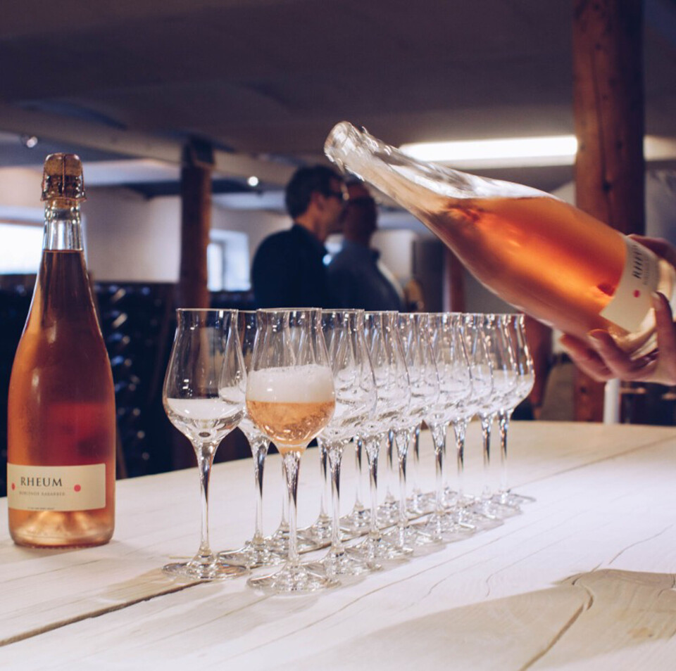 opl_Cold Hand Winery.jpg
