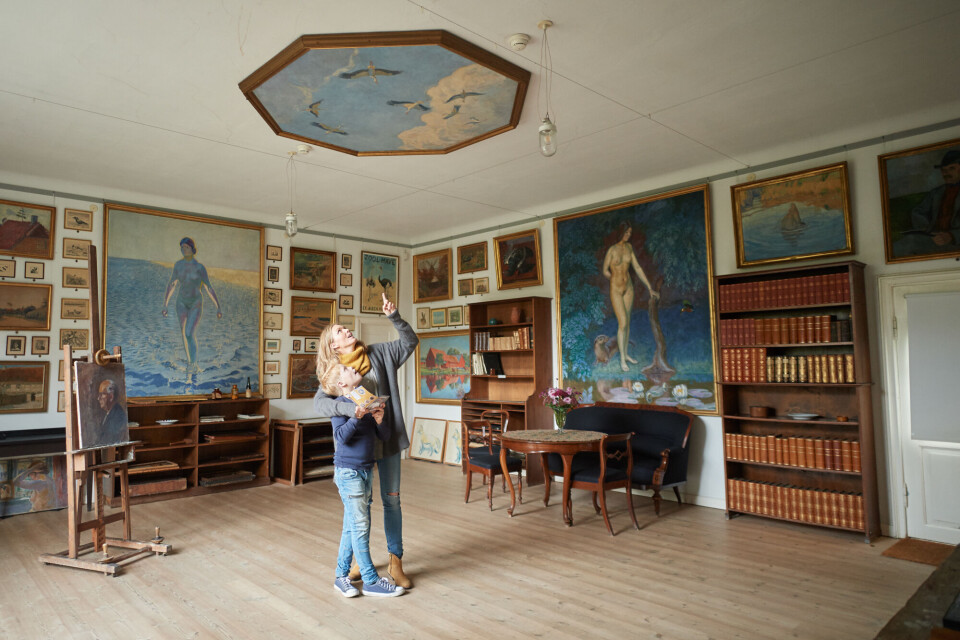 fyn-odense-16.jpg