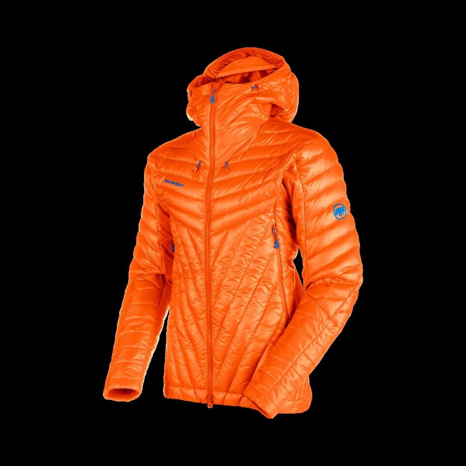 Mammut-jakke.png