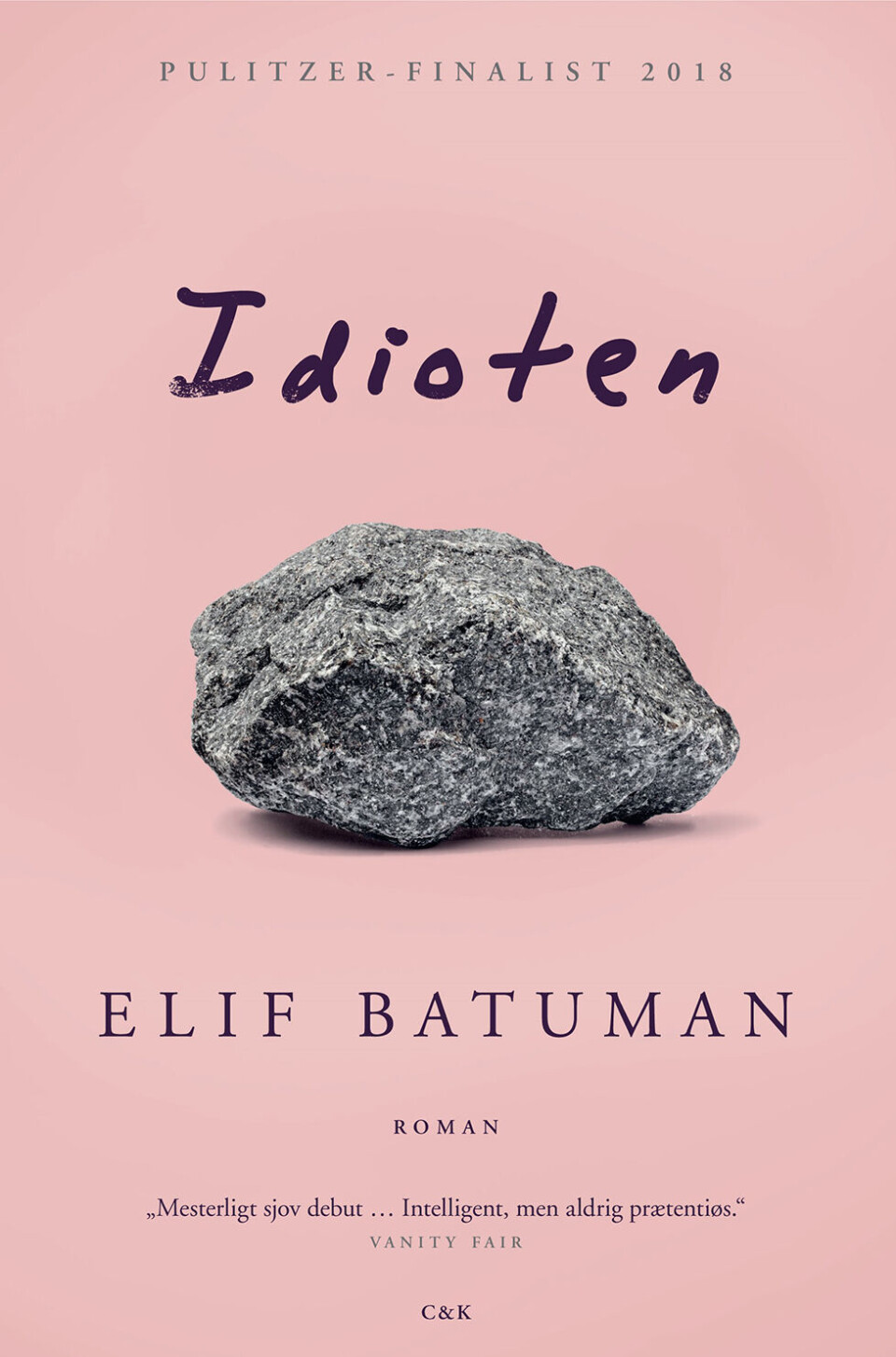 idioten.jpg