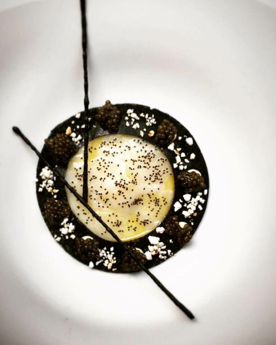 Martin Kongstads madanmeldelse: Restaurant Clou er luksus i sin fineste form