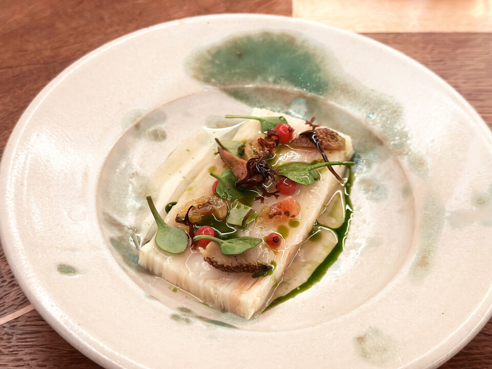 Knoldselleri m kammusling.jpeg.jpg