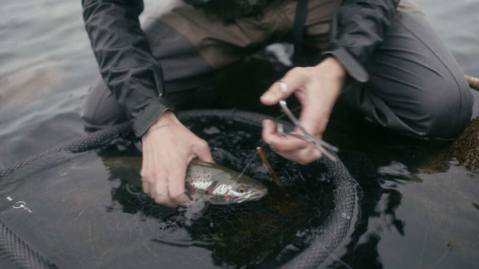 ”Med fiskestangen kan jeg skabe en forbindelse til et sted, hvor mennesker ikke er skabt til at leve”