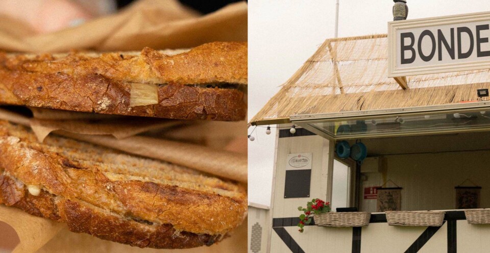 Euroman tester: Her får du det bedste vegetarmad på Northside
