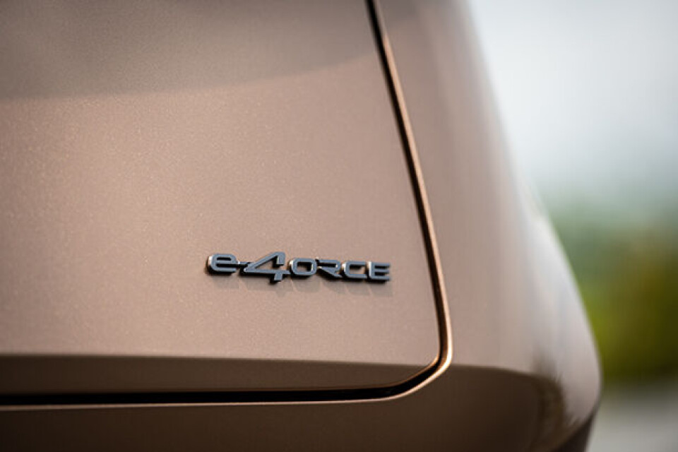 Nissan-Ariya-badge_e-4ORCE_614.jpg
