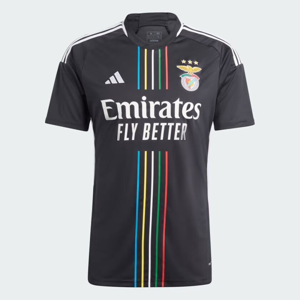 Benfica final.jpg