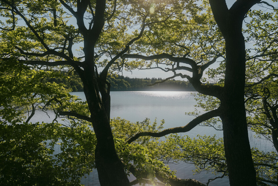 Almindsø.