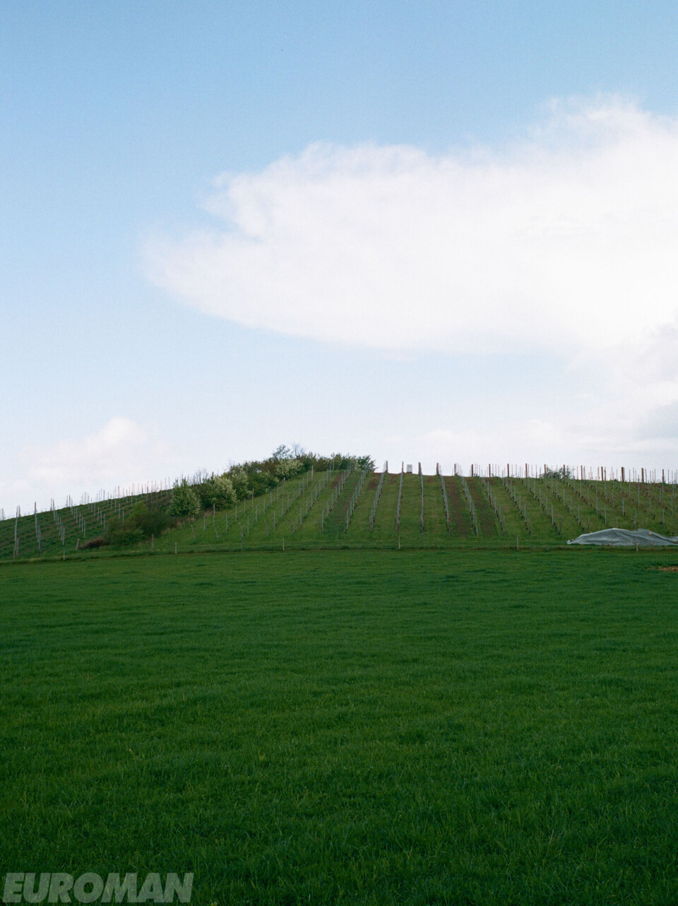 Vingården har lavet vin siden 2003.