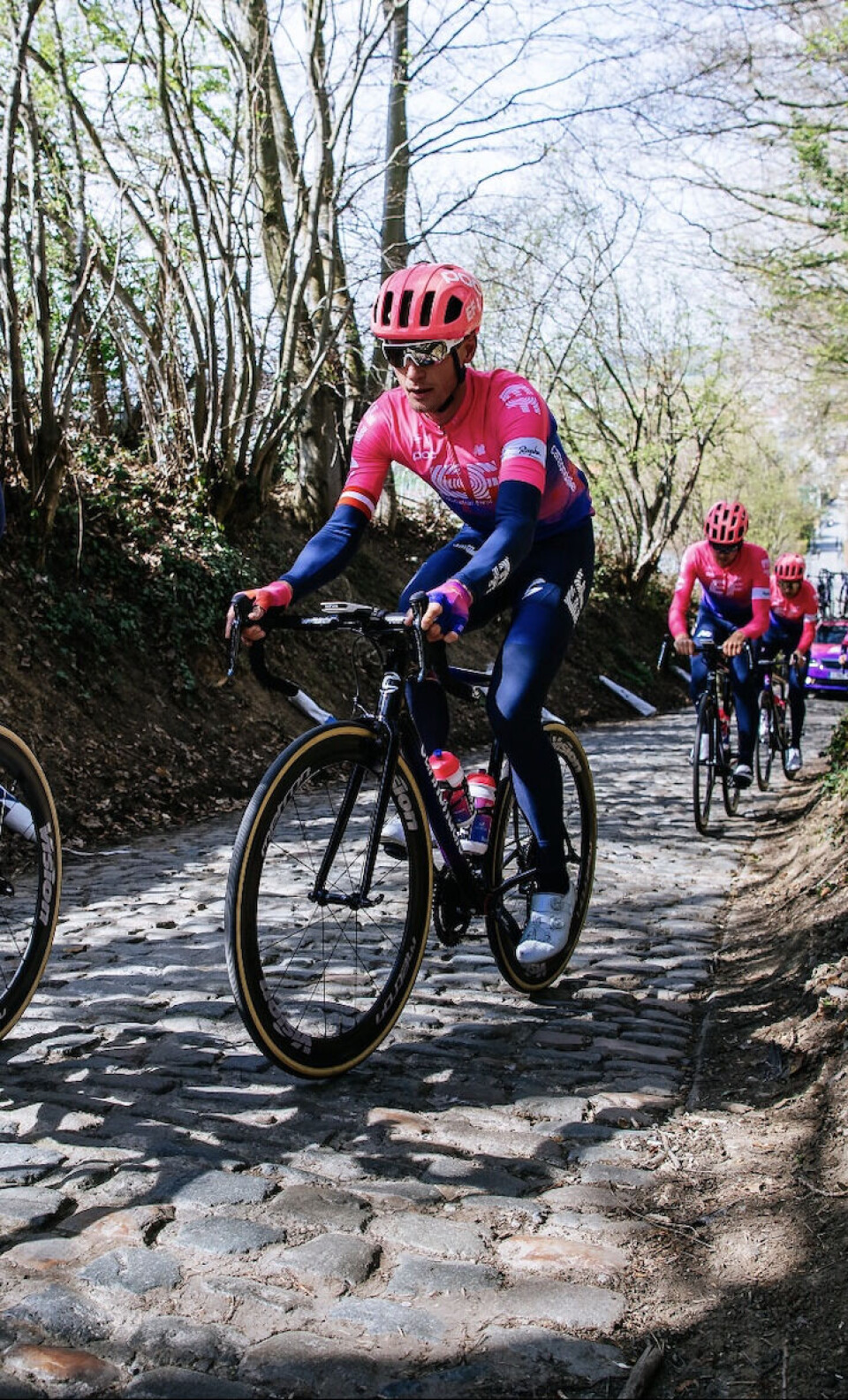 Cannondale Evo 2019.png