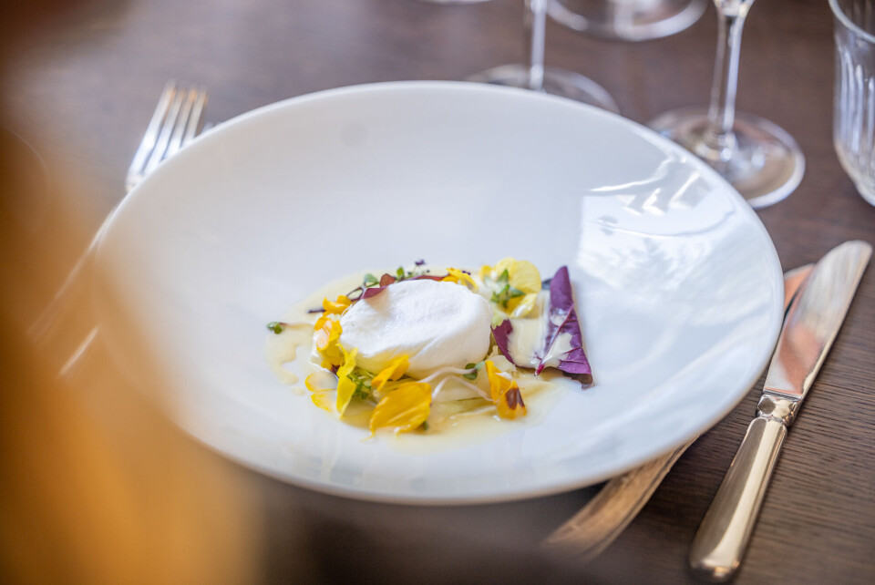 rest_Restuarant Textur Aalborg (6).jpg