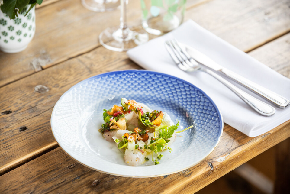 rest_Essens Gaarden_Niklas Ekstedt_Kjetil Loeite (5).jpg