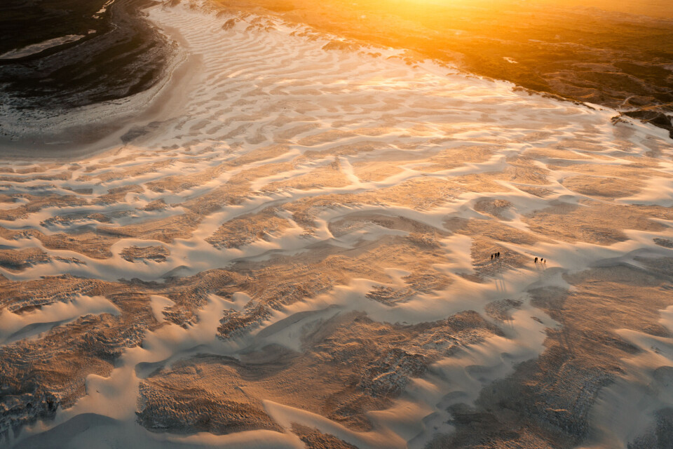 intro_Råbjerg mile-2_Frederik Sørensen.jpg