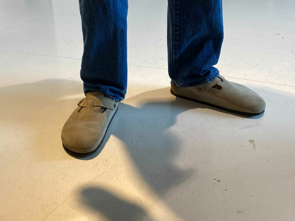 Birken.jpg