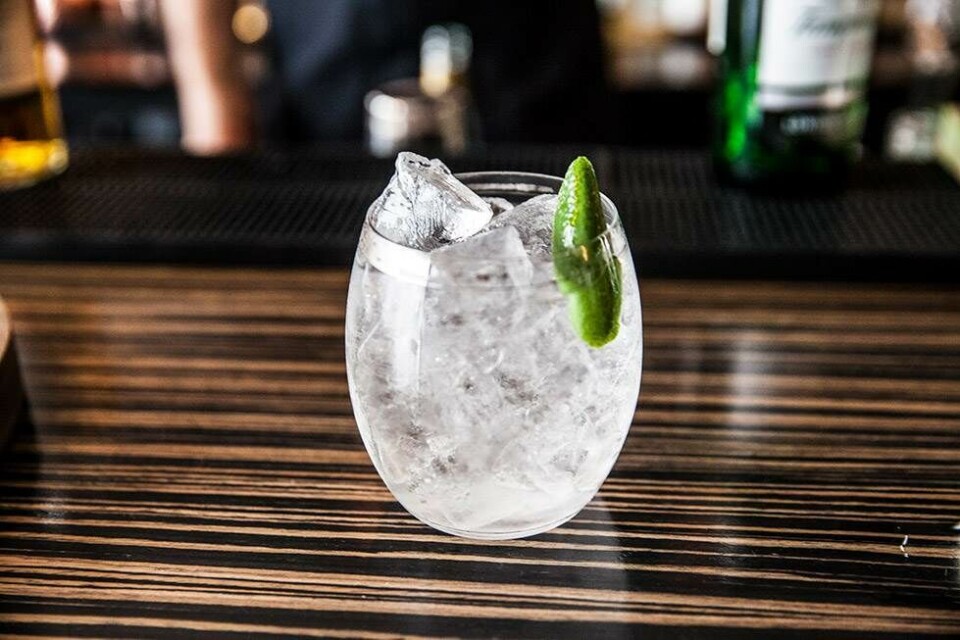 Danmarks bedste bartender: Sådan laver du en rigtig Gin & Tonic