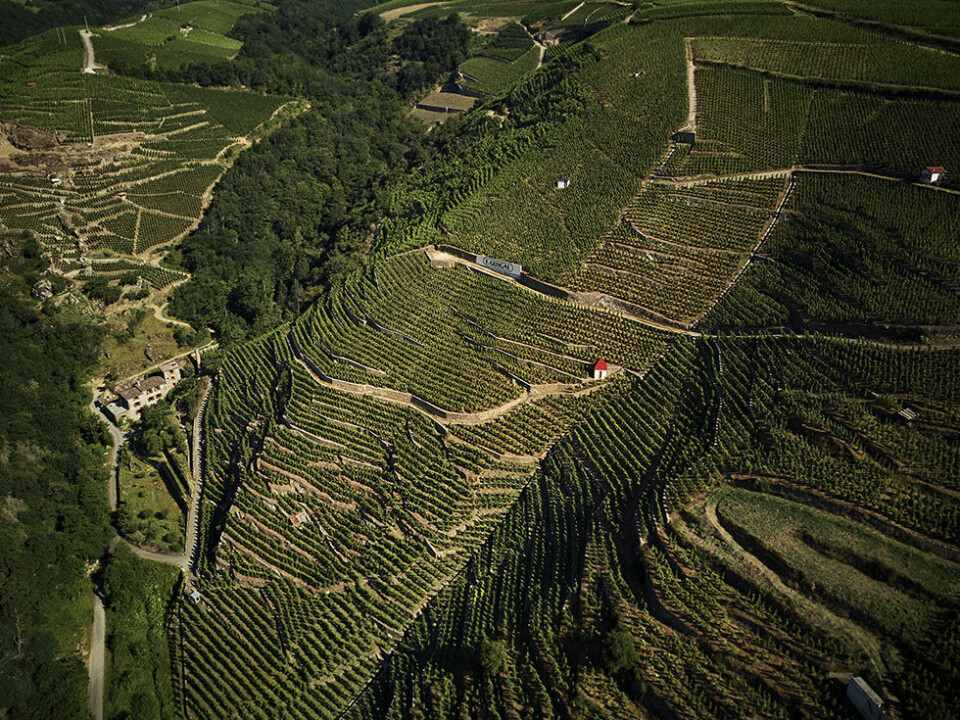 cote_rotie_59.jpg
