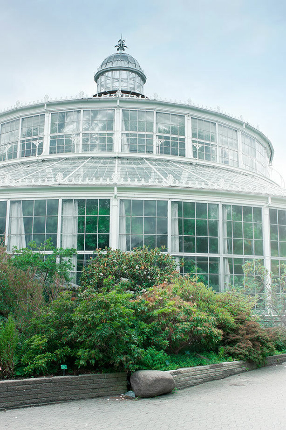 Gør dit storbybesøg mere eksotisk med en tur i palmehuset i Botanisk Have