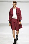 Forår/sommer 2013: Kris Van Assche