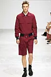 Forår/sommer 2013: Kris Van Assche
