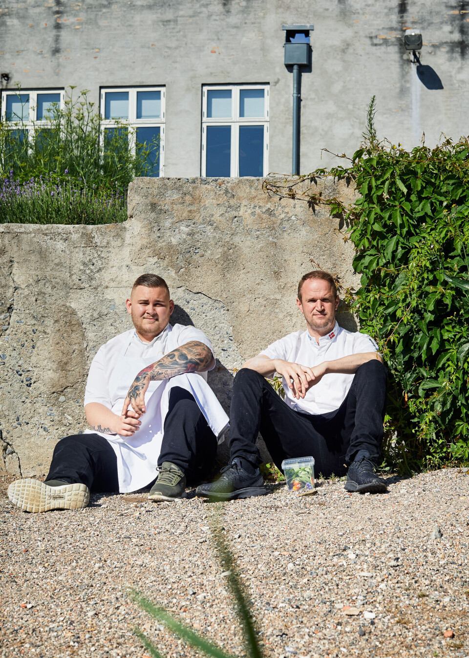Bocuse d_Or-håb_01.jpg