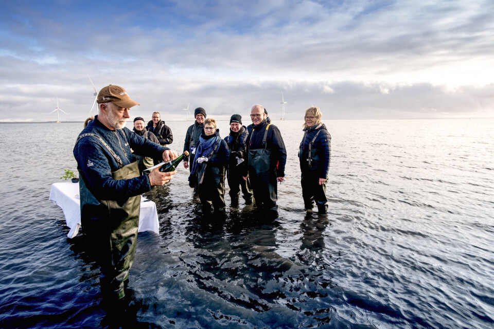 opl_FlyingOctober_Jyllandsakvariet_seafood-safari.jpg