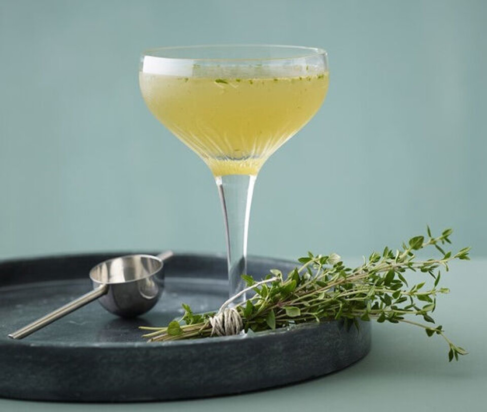 Daiquiri-Timian_614.jpg
