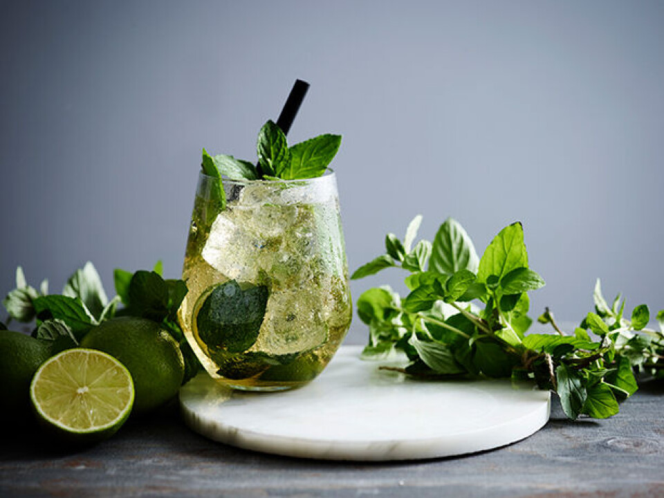 Mojito_614.jpg