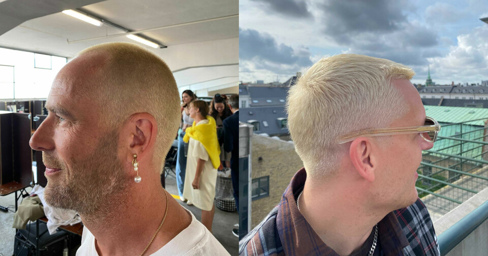 Blond.jpg