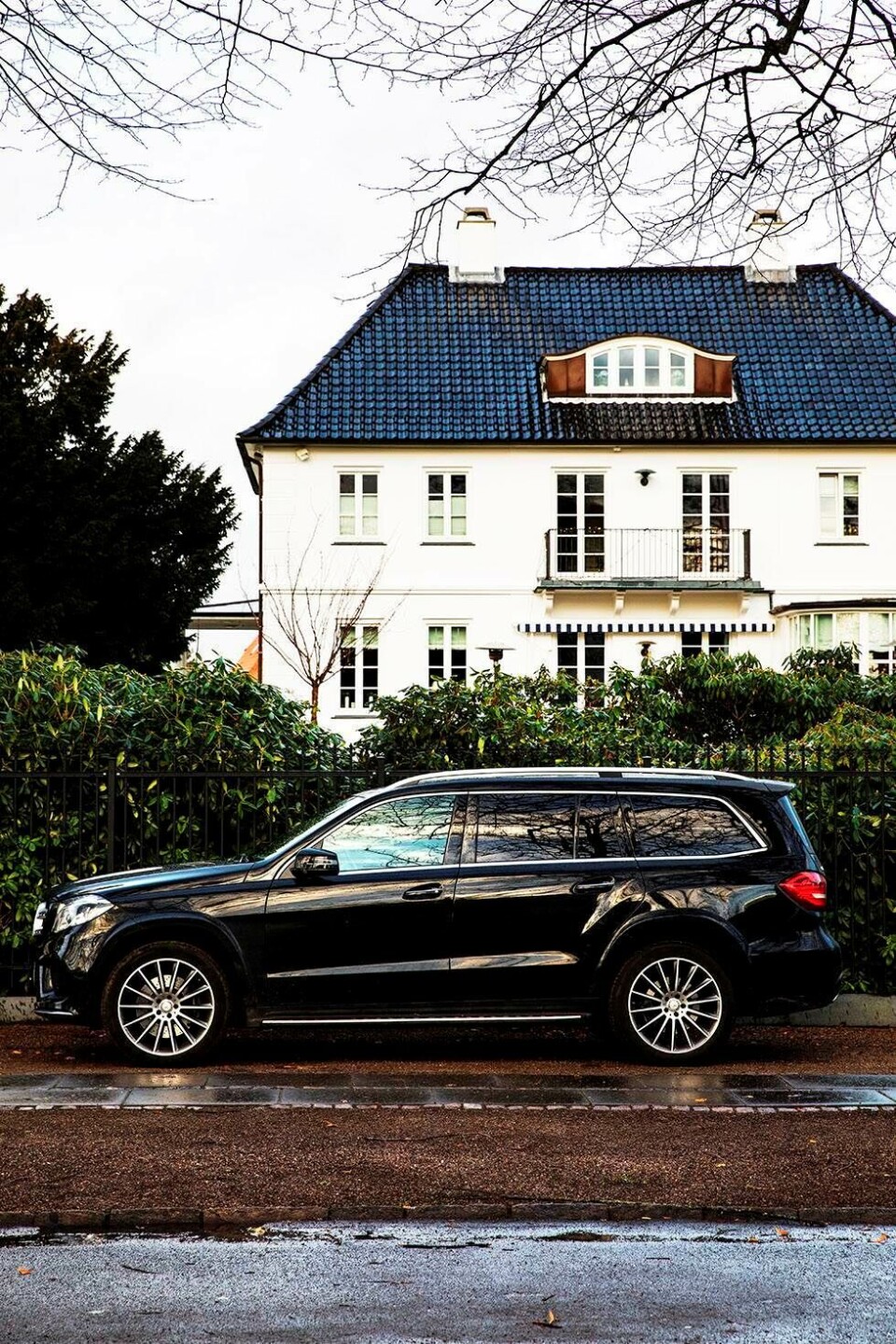 Portræt af Hellerup: Penge taler, velstand hvisker
