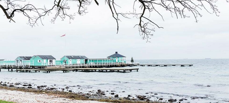 Penge taler, velstand hvisker
