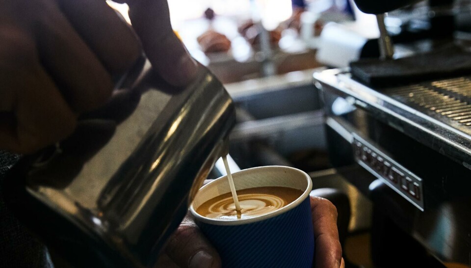 delicious-cappuccino-at-prolog-coffee-bar-l.jpg