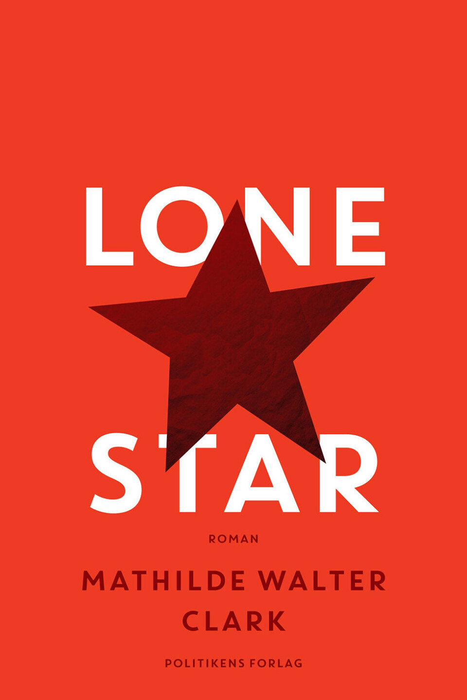 lone star.jpg