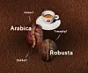 3. Arabica_Robusta.jpg
