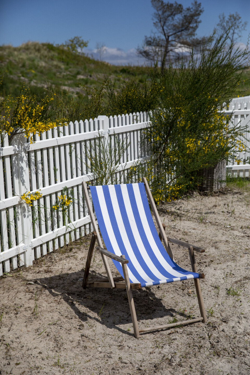 10.22: Formiddag på Hornbæk Strand