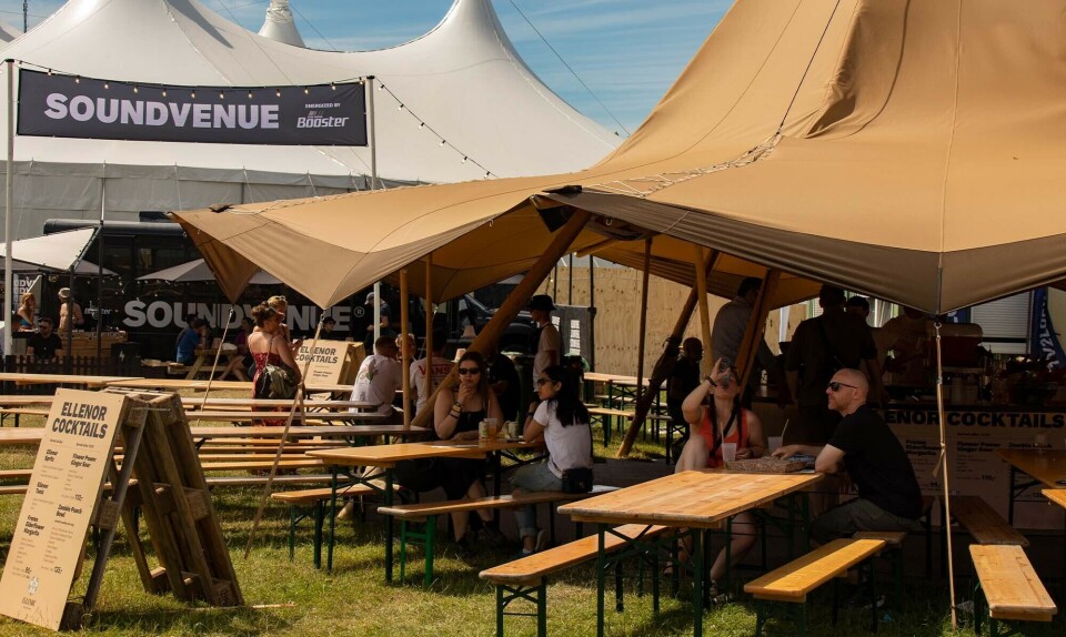 5 ting, vi lærte den første dag på Roskilde