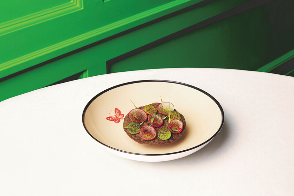 Purple Corn Tostada_01.jpg