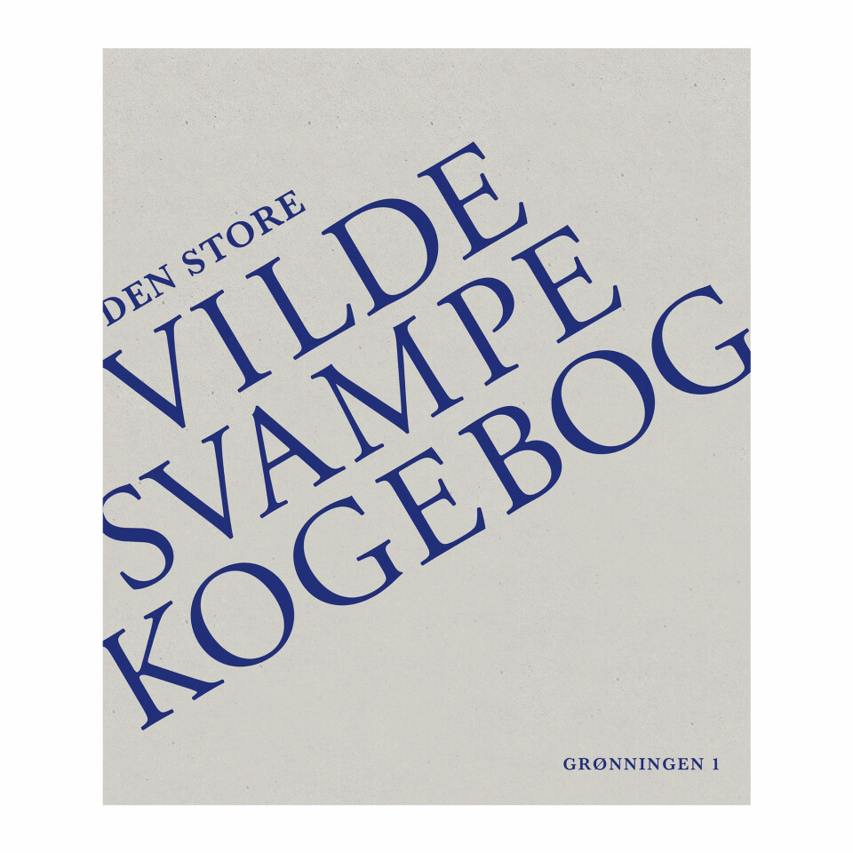 Læg hårde pakker under juletræet: Her er de bedste kogebøger fra 2024