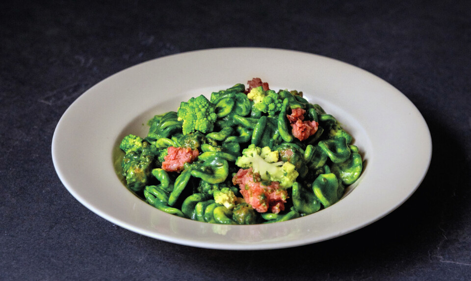 Opskrift: Orecchiette alla salsiccia e broccoli