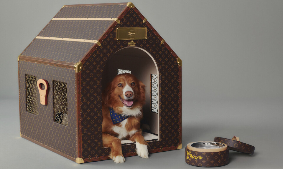 Enden er nær: Gode hunde bor i Louis Vuitton-hundehuse