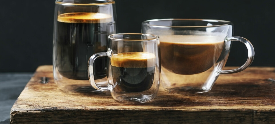 Vejen til den gode kop kaffe