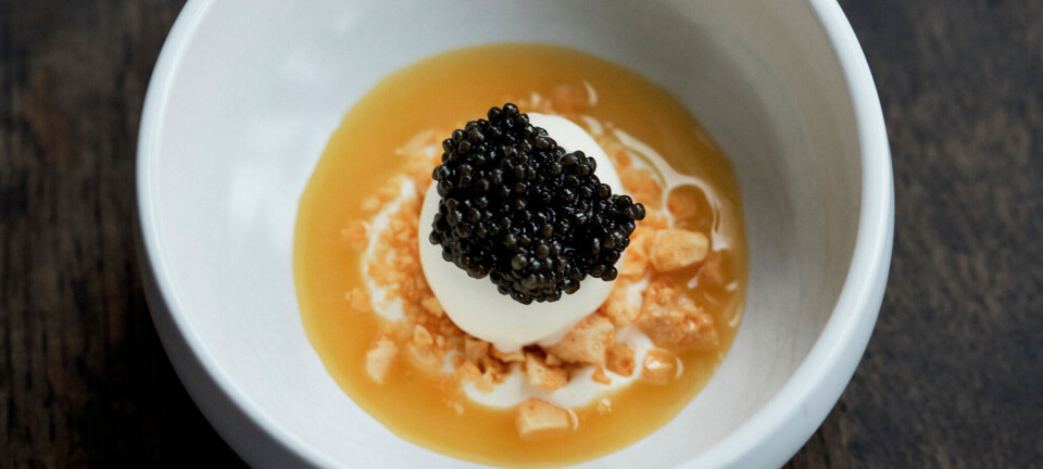 Den absolut ultimative dessert? Kombinér hvid chokolade, honning og caviar