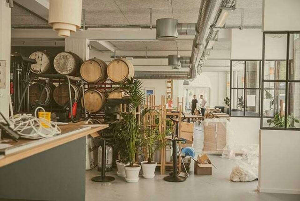 De brygger i Arizonas ørken og åbner øltempel på Nørrebro: 'Du kan godt kalde det et drømmeliv'