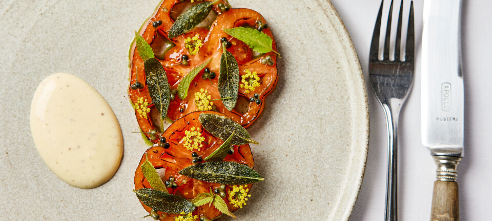 Sådan laver du lynstegt oksehjerte-tomat med friteret salvie, urter og fennikel-blanquette