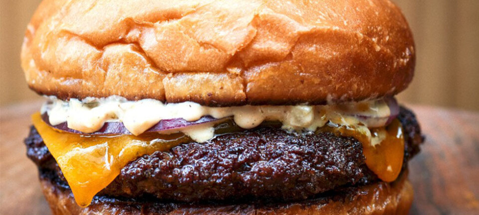 Noma genåbner som folkelig burgerbar