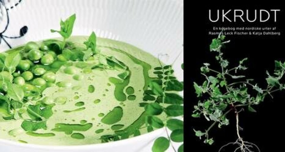 Opskrifter: 6 lækre retter med ukrudt