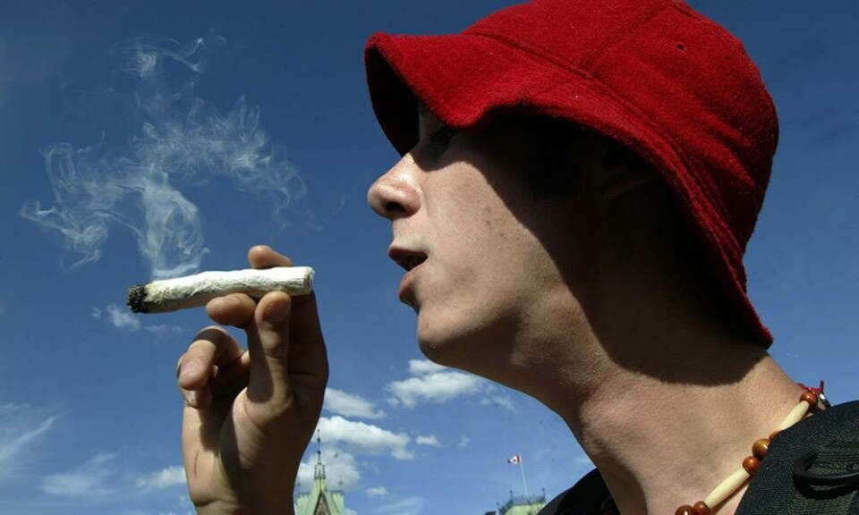 Berlin er måske på vej mod fri marihuana