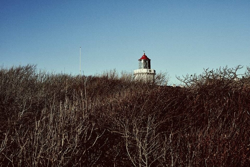 Simon Kvamm i Klitmøller: ”Det er fedt at være i kanten af noget. Her er udsigt. Et gigantisk hav, en kæmpe horisont og lille mig, der står der'