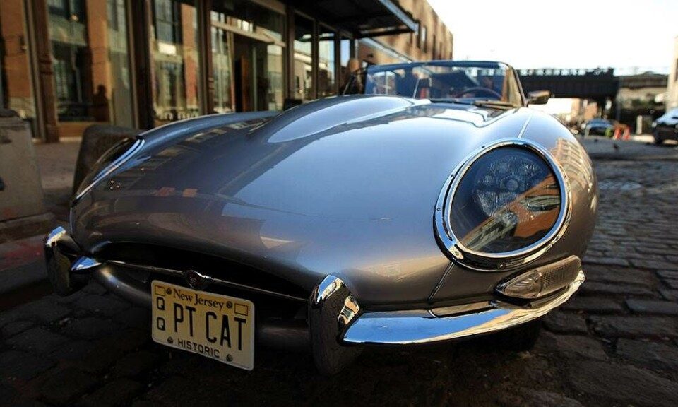 Jaguar