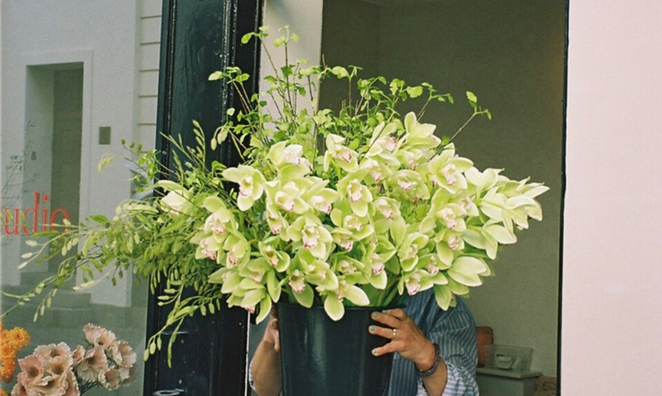 Er plastikplanter nu blevet moderne igen?! Nyt dansk firma vil fylde dit hjem med falske blomster